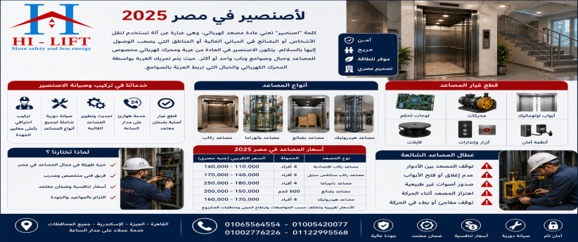 الأصنصير في مصر 2025 